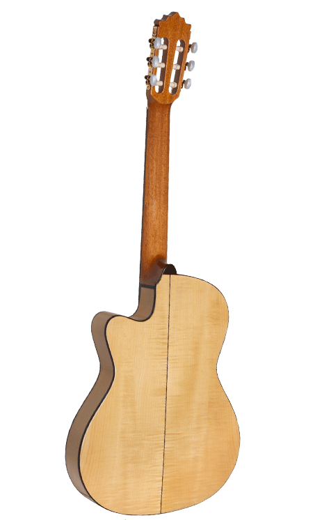 Guitarra 233FTE
