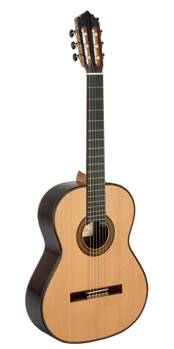 Guitarra clásica 205